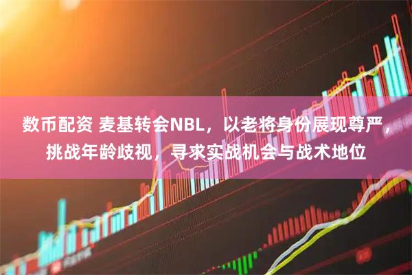 数币配资 麦基转会NBL，以老将身份展现尊严，挑战年龄歧视，寻求实战机会与战术地位