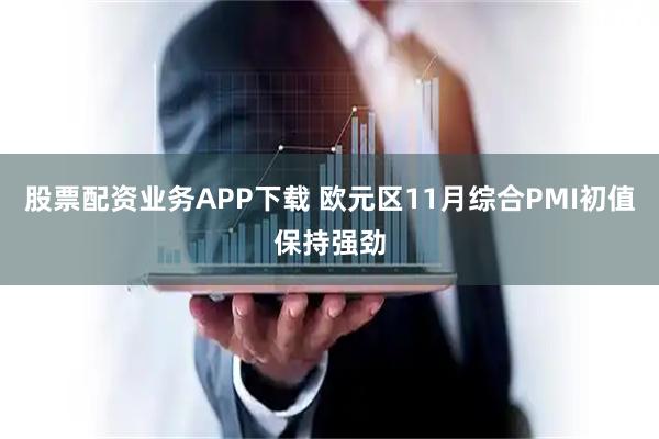 股票配资业务APP下载 欧元区11月综合PMI初值保持强劲