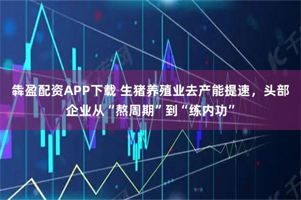 犇盈配资APP下载 生猪养殖业去产能提速，头部企业从“熬周期”到“练内功”